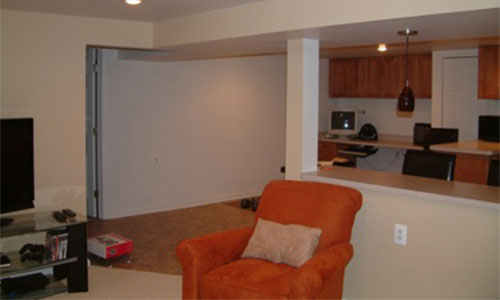 Basement Remodel