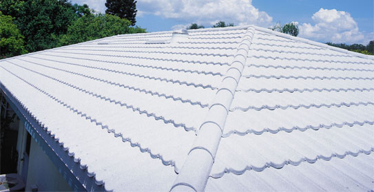 Tile Metal Roof